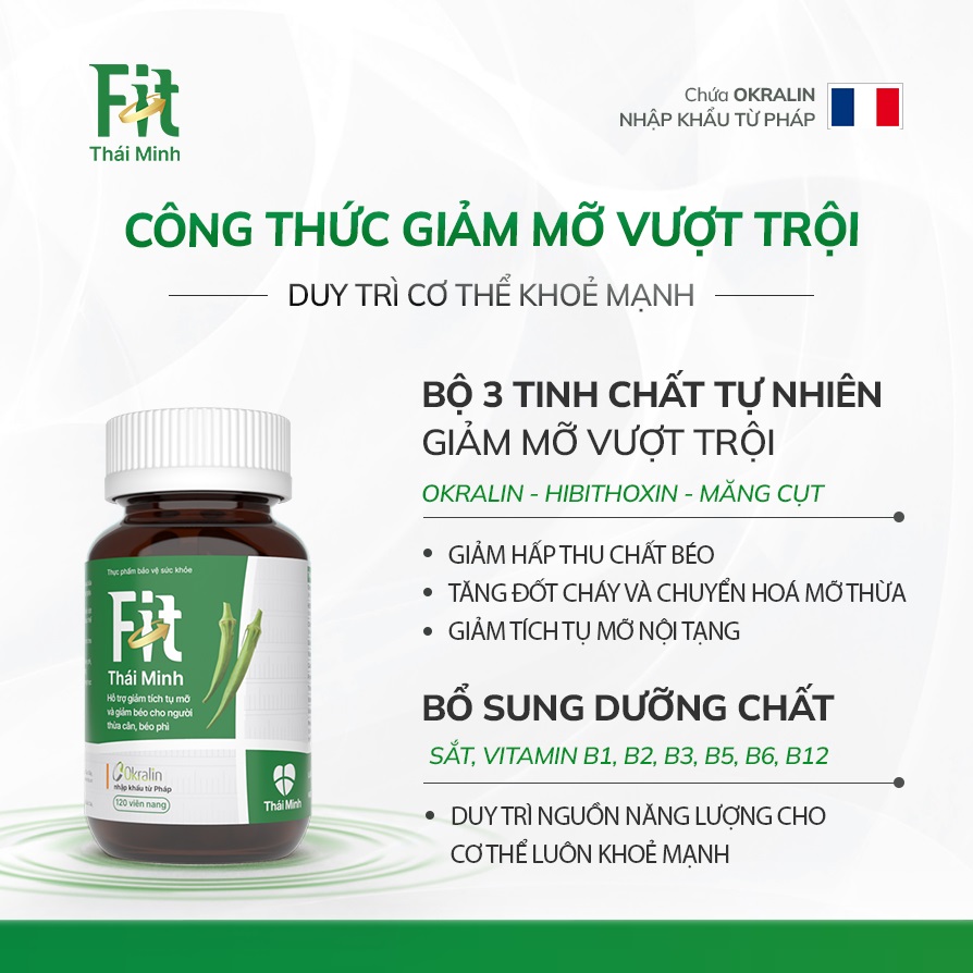 cơ-che-fit-thai-minh.jpg